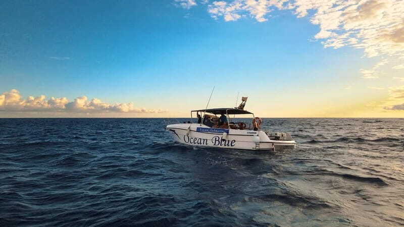 Excursion to see the whales - 3 Hours - Tenerife whale watching on a small boat: what makes it worth your time