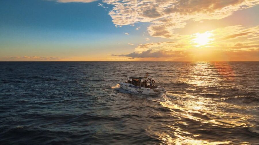 Excursion to see the whales - 3 Hours - What’s included onboard: drinks, a sandwich, and a guide who explains what you’re seeing