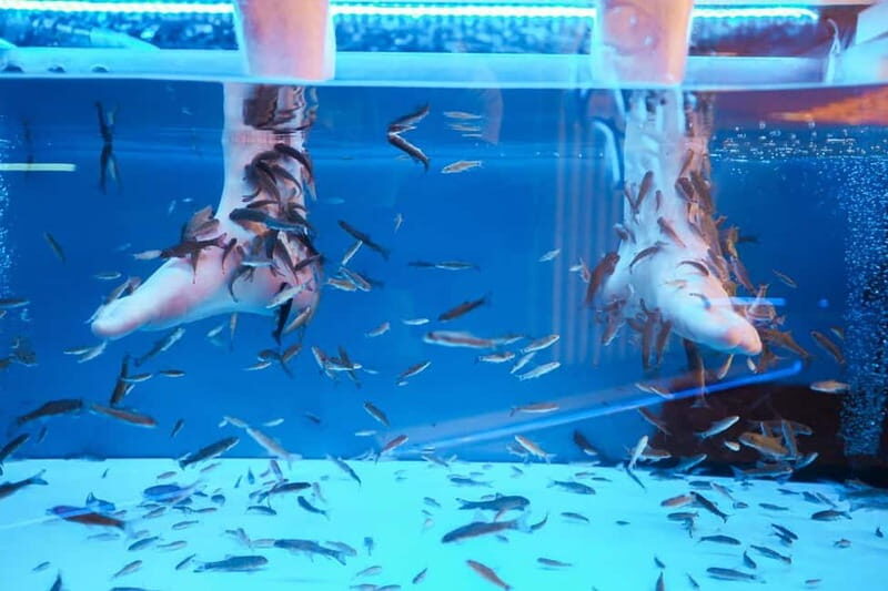 Fish Spa Experience - Key Things to Know Before You Go