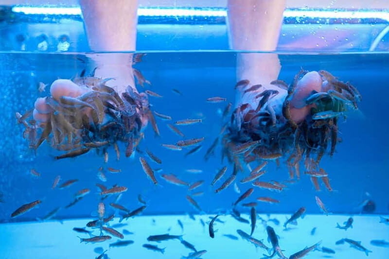 Fish Spa Experience - Happy Feet Spa Tenerife: A Simple 20-Minute Fish Spa