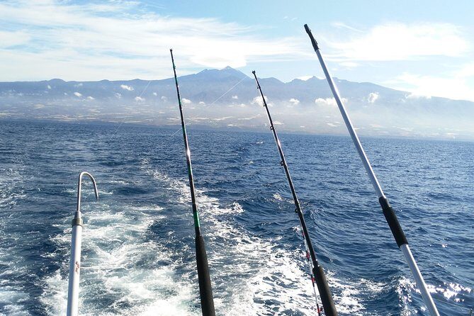 Fishing trip, Tenerife Sea Passion - The half-day timing that fits real Tenerife travel days