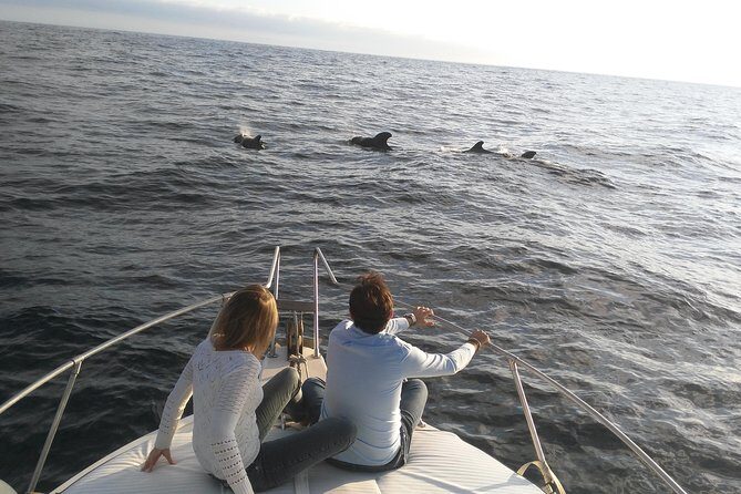 Fishing trip, Tenerife Sea Passion - The boat work you’ll actually do: jigging near the coast and deep lines offshore