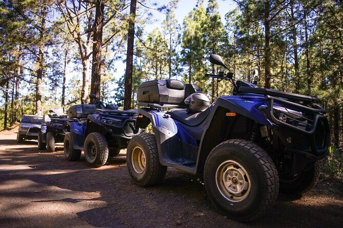 Forest & Off Road National Park Quad Biking Tour - Pickup from Los Cristianos to Callao Salvaje: how the logistics stay painless