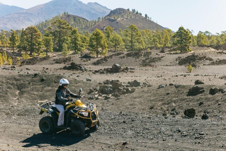 From Costa Adeje: Mount Teide Forest Off-Road Quad Bike Tour - Key Highlights That Matter