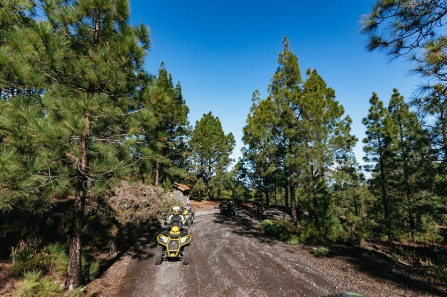 From Costa Adeje: Mount Teide Forest Off-Road Quad Bike Tour - Should You Book This Tenerife First Quads Teide Forest Tour?