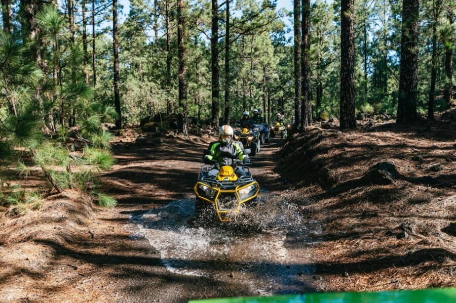 From Costa Adeje: Mount Teide Forest Off-Road Quad Bike Tour - From Costa Adeje to Santiago del Teide: Where the Day Starts