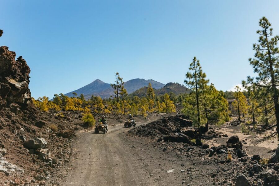 From Costa Adeje: Mount Teide Forest Off-Road Quad Bike Tour - Safety and Control: Helmets, Training, and Escort Cars
