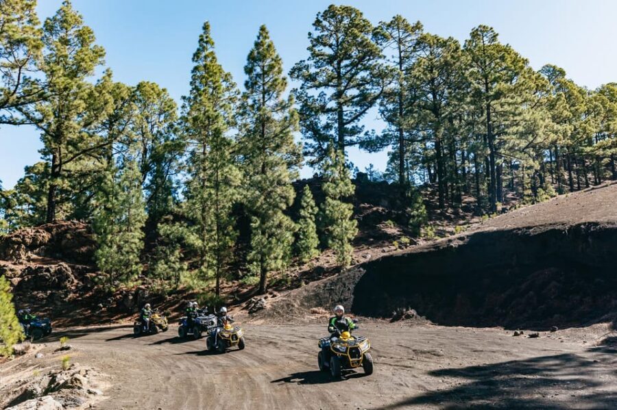 From Costa Adeje: Mount Teide Forest Off-Road Quad Bike Tour - Price and Value: What You’re Actually Paying For