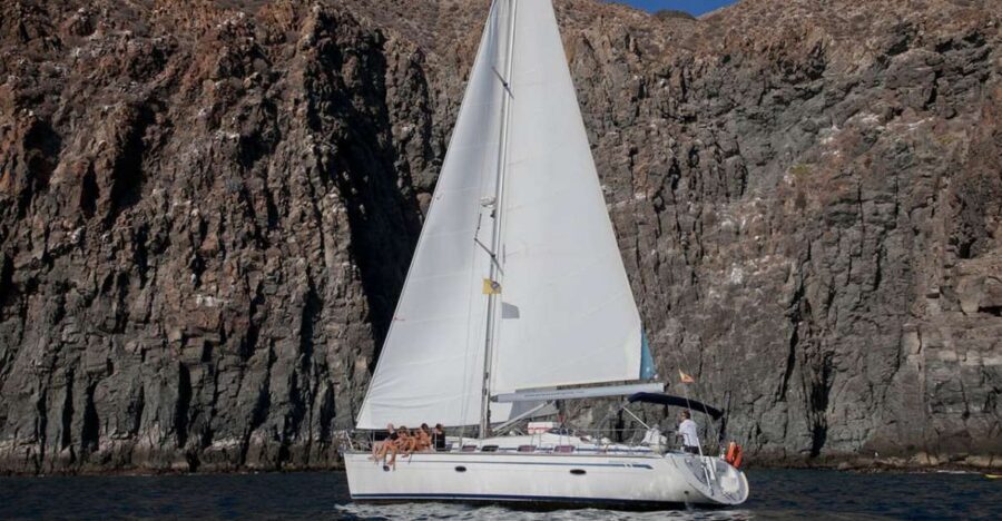 From Los Gigantes: Whale Watching Sailboat Cruise - Sailing Time for Coast Views and Teide Sightlines