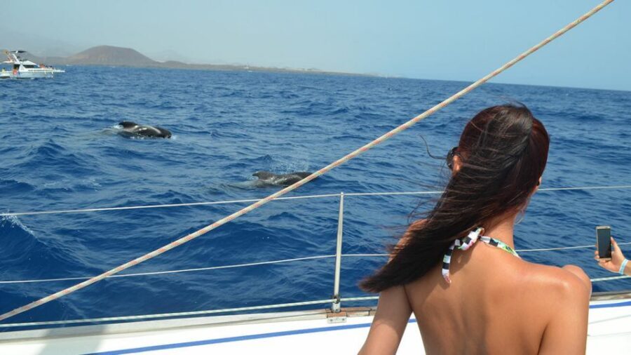 From Los Gigantes: Whale Watching Sailboat Cruise - Snorkeling Under the Cliffs: 15 Minutes That Add Real Wow