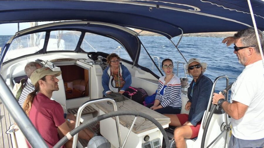 From Los Gigantes: Whale Watching Sailboat Cruise - Price and Value: Is $88 Worth It?