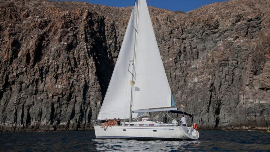 From Los Gigantes: Whale Watching Sailboat Cruise - Who This Sailboat Cruise Fits Best