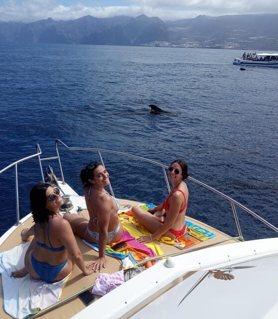 From Playa San Juan: Whale Watching, Gigantes, and Masca Bay - The return along Tenerife’s coast: volcanic corners and viewpoint time