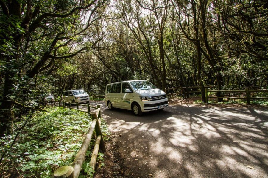 From Puerto de La Cruz: Full-Day Vip Tour to Gomera - What to pack for a day of sun, roads, and early mornings