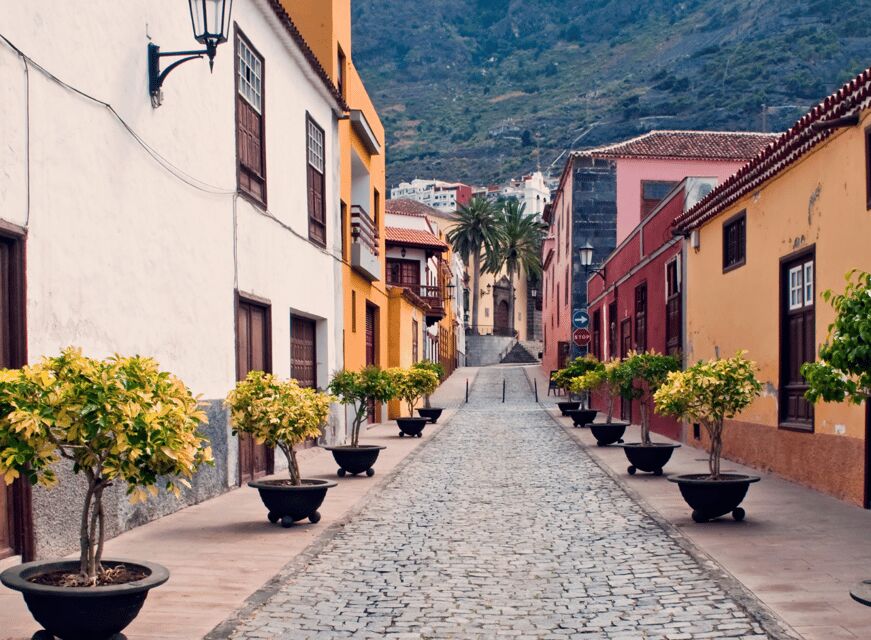 From Santa Cruz de Tenerife: Masca & Garachico Private Trip - What $115 per person really buys you