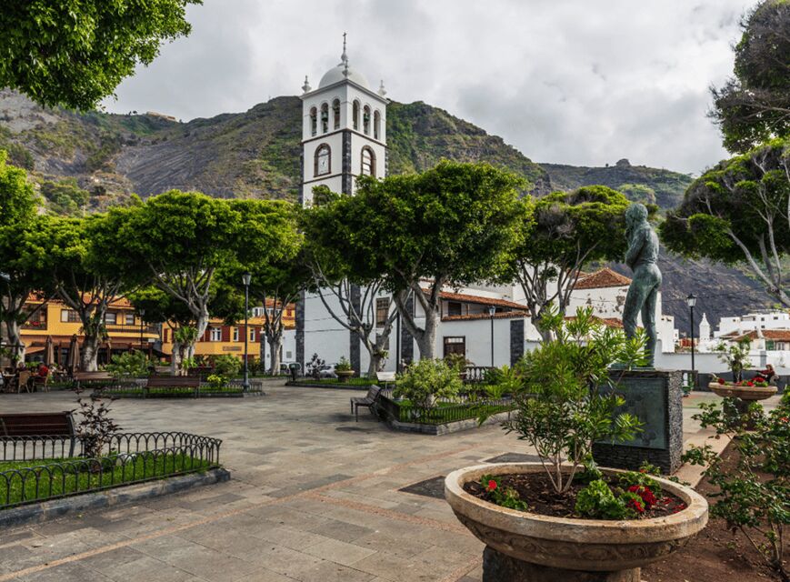 From Santa Cruz de Tenerife: Masca & Garachico Private Trip - Who should book this Masca–Garachico private trip?