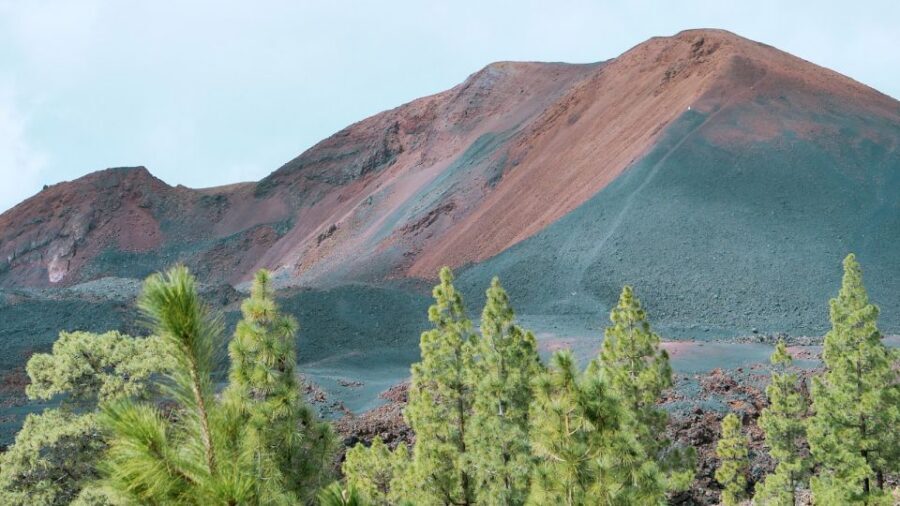 From Santa Cruz: Teide Volcano, Icod, & Garachico Tour - Pacing, timing, and how flexible the day really is