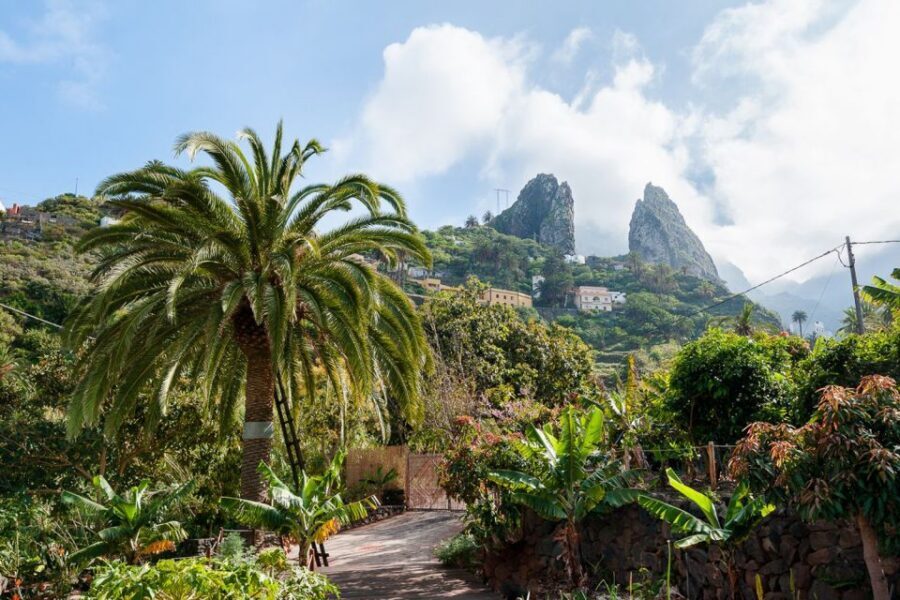 From South Tenerife: La Gomera Island Day Trip with Lunch - Lunch with Silbo Gomero: the moment that turns a tour into a memory