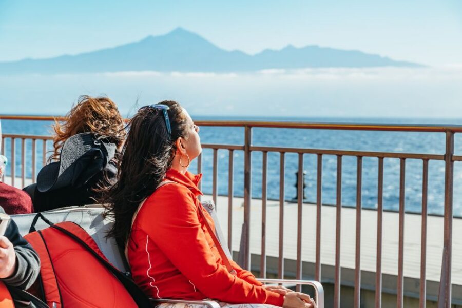 From South Tenerife: La Gomera Island Day Trip with Lunch - Price and value: what you’re really paying for at about $124