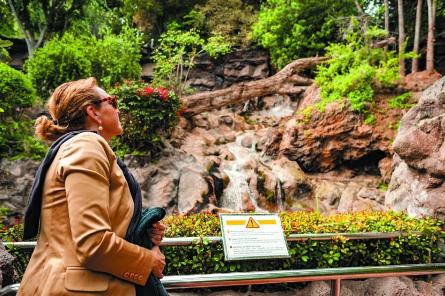 From South Tenerife: Loro Park Zoo Ticket & Hotel Transfers - Value Check: Is This $75 Transfer Package Worth It?
