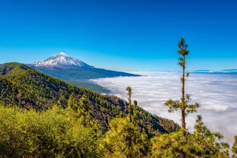 From South Tenerife: Mount Teide Hiking Day Trip & Cable Car - Who Should Book, and Who Might Rethink This Day