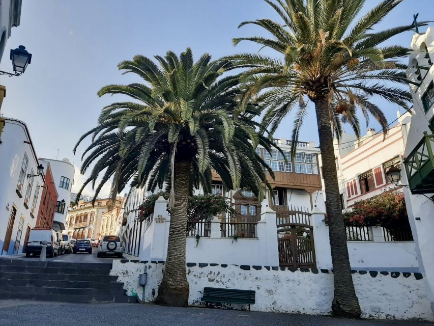 From Tenerife: Day Trip to La Palma Volcanic Landscapes - Meeting up at Fred. Olsen Express in Los Cristianos