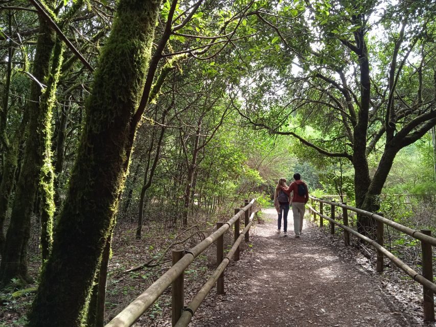 From Tenerife: La Gomera Day Trip with Guide - Price and value: what $112 buys you on a 10-hour day