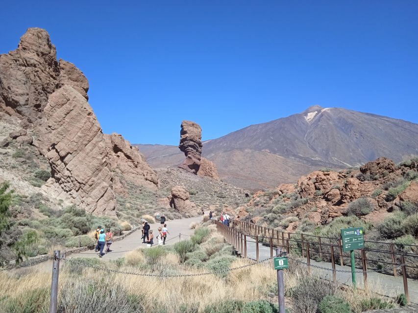 From Tenerife: Teide National Park Guided Day Trip by Bus - Key highlights at a glance