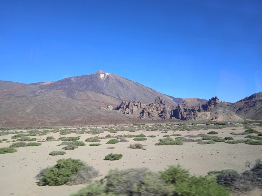 From Tenerife: Teide National Park Guided Day Trip by Bus - Pine forests, endemic plants, and wild canaries you might spot