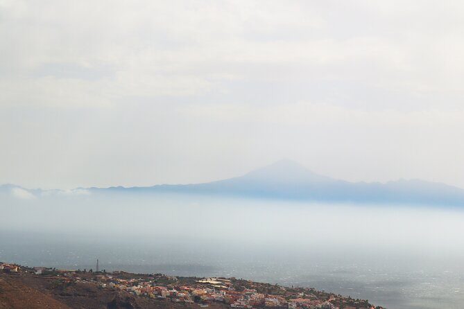 Full-day Bus Tour to La Gomera Island with Professional Guide - Stop 3: Garajonay National Park and the Atlantic Cloud Forest