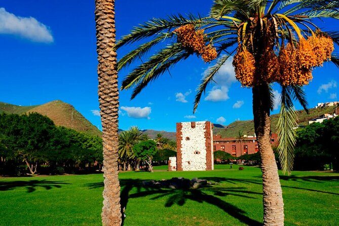 Full-day Bus Tour to La Gomera Island with Professional Guide - Getting Over From Tenerife: Ferry, Pickup, and Seats