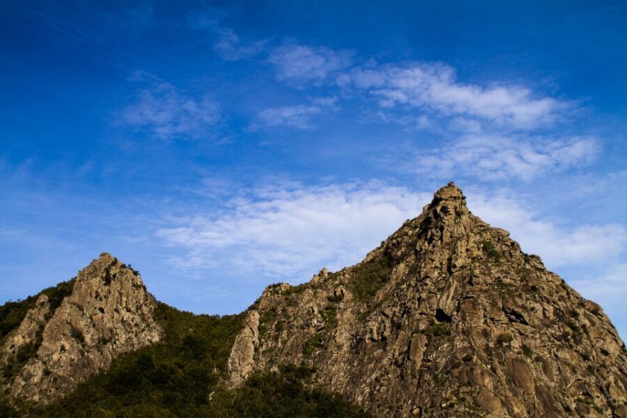 Full-Day Gomera Jeep Safari from Puerto de La Cruz - Garajonay National Park: where the guide’s pace makes it work