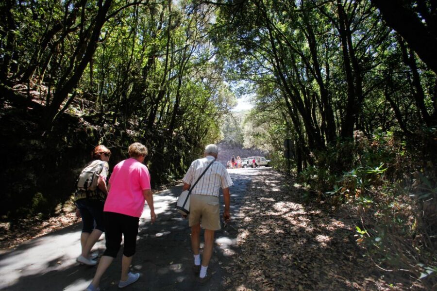 Full-Day Gomera Jeep Safari from Puerto de La Cruz - Timing, comfort, and the reality of a 13-hour day