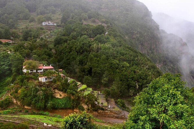 Full Day Guided Tour to La Gomera from Tenerife - Tenerife pickup to Los Cristianos: the part to take seriously