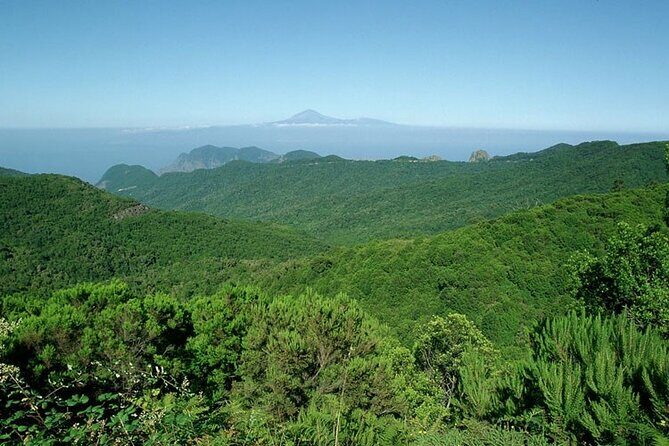 Full Day Guided Tour to La Gomera from Tenerife - Garajonay National Park: UNESCO laurel forest walk