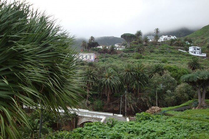 Full Day Tour of Santa Cruz and San Cristóbal de La Laguna - Key highlights before you go