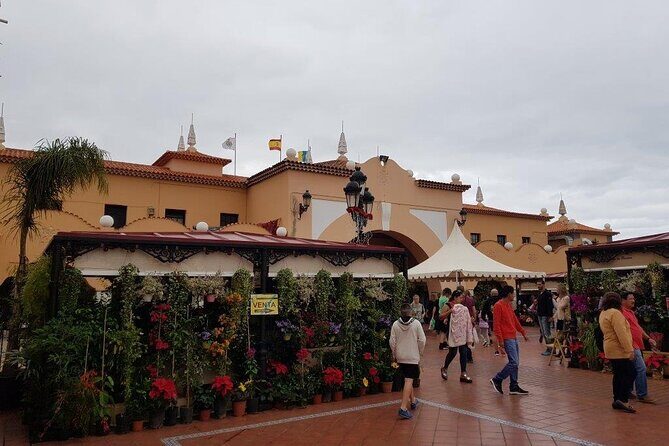 Full Day Tour of Santa Cruz and San Cristóbal de La Laguna - Parque Rural de Anaga: a quick hit of rugged Tenerife