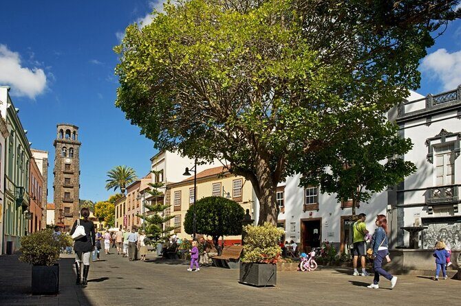 Full Day Tour of Santa Cruz and San Cristóbal de La Laguna - Guide quality: Hector, languages, and how to get the most out of the bus day