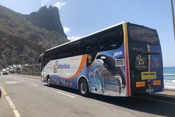 Full day tour visiting Santa Cruz, La Laguna and Anaga - Santa Cruz de Tenerife: architecture, plazas, and a one-hour hit