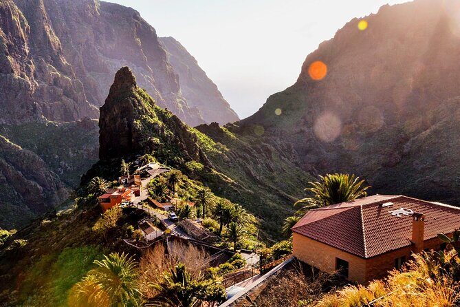 Full Day Tour with Certified Guide in Tenerife - Price and What You Actually Get for $65.77