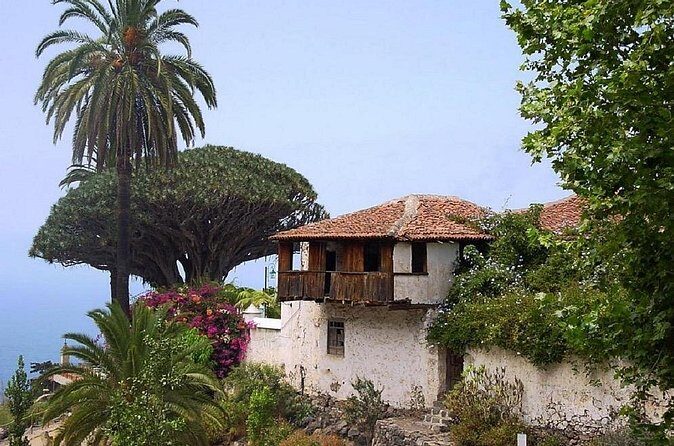 Go West - VIP Private Tour in Tenerife to Masca, Garachico and Icod - Natural Park of Teno: the longest stretch for wide views