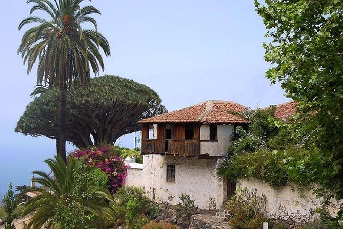 Go West - VIP Private Tour in Tenerife to Masca, Garachico and Icod - Comfort, guide style, and photo-stop reality check
