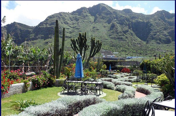 Go West - VIP Private Tour in Tenerife to Masca, Garachico and Icod - Price and value: what $198.50 per person buys you