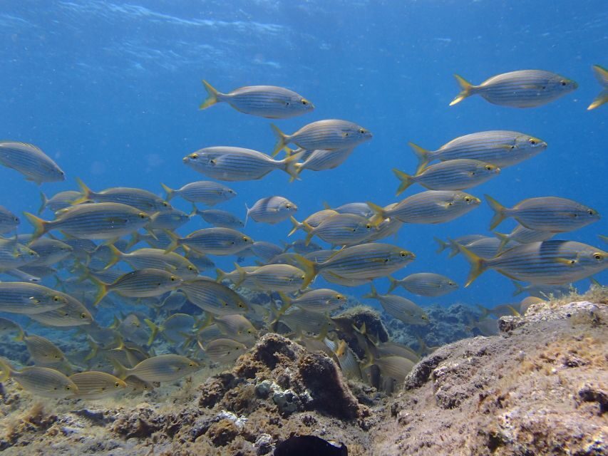 Gran Canaria Scuba Diving for Certified Divers - What to wear and bring: the practical packing list that saves your day