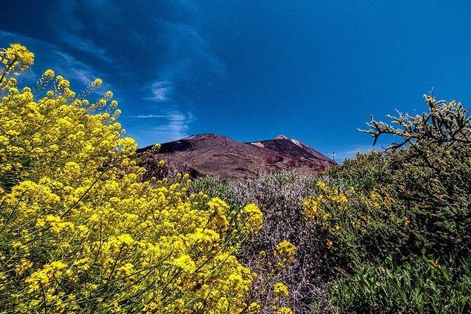 Guided Hike - The Tajinaste Trail - Gear Checklist That Actually Matches the Conditions