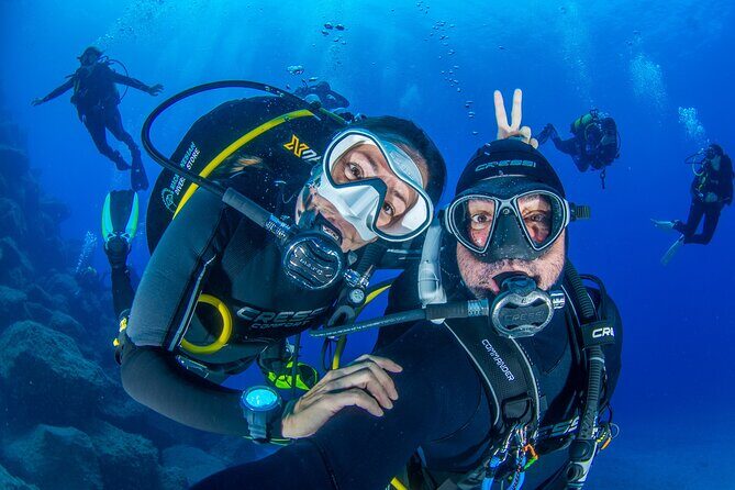 Guided Immersion from Santa Cruz de Tenerife - Key things to know before you go