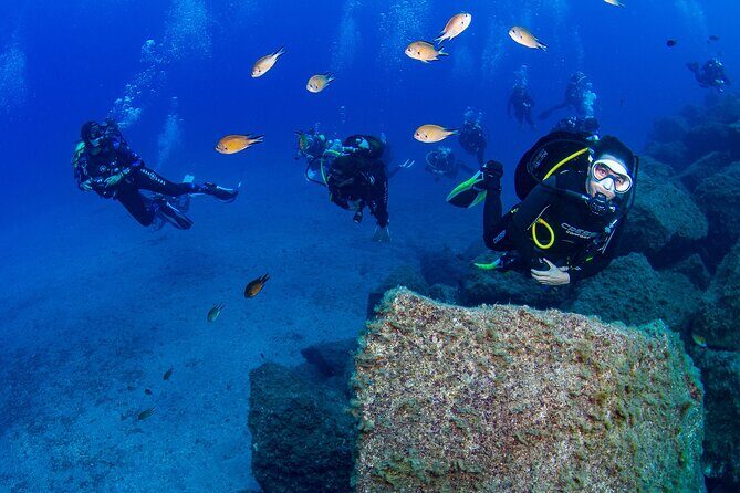 Guided Immersion from Santa Cruz de Tenerife - Radazul Bay scuba: what makes this 3-hour tour click
