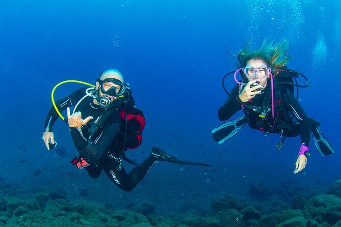 Guided Immersion from Santa Cruz de Tenerife - 30 to 45 minutes in the water: staying within your certification