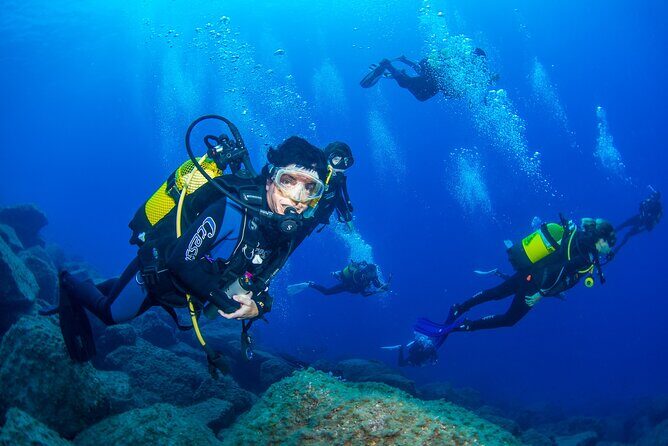Guided Immersion from Santa Cruz de Tenerife - The first hour: technical briefing and marine-life orientation