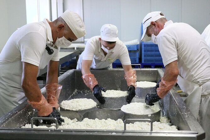 Guided Tour Montesdeoca Cheese Factory - Cheese and Wine Tasting - Who this Montesdeoca tour suits best